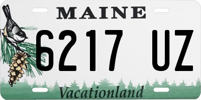 ME license plate 6217UZ