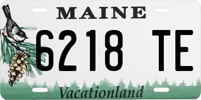 ME license plate 6218TE