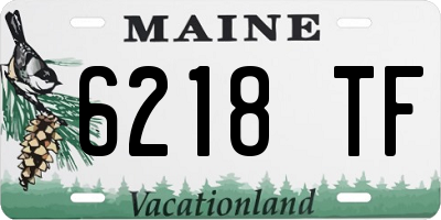 ME license plate 6218TF