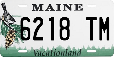 ME license plate 6218TM