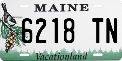 ME license plate 6218TN