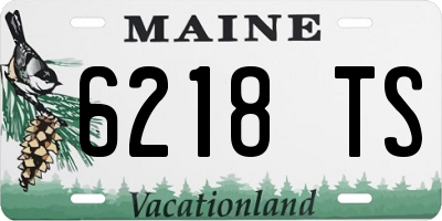 ME license plate 6218TS