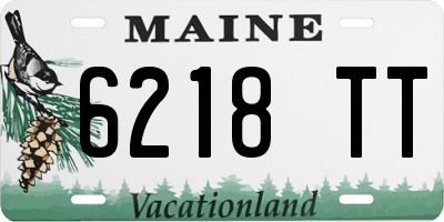 ME license plate 6218TT