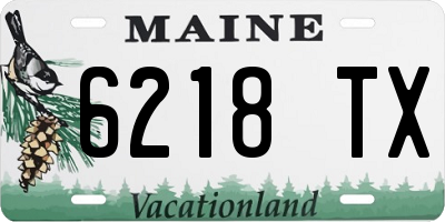ME license plate 6218TX