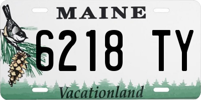 ME license plate 6218TY