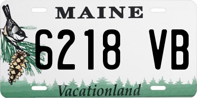ME license plate 6218VB