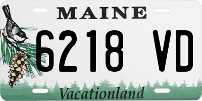 ME license plate 6218VD