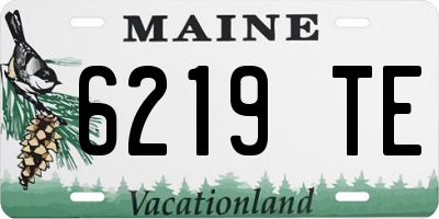 ME license plate 6219TE