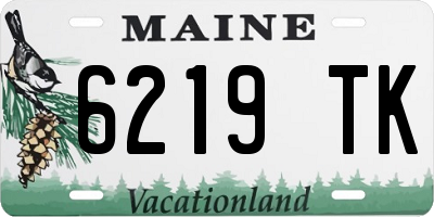 ME license plate 6219TK