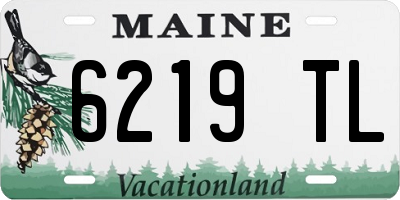 ME license plate 6219TL