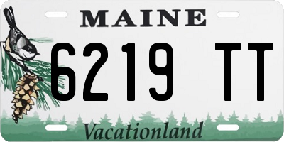 ME license plate 6219TT