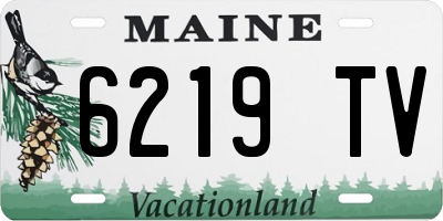 ME license plate 6219TV