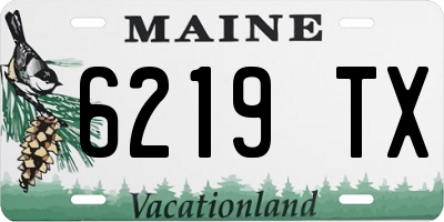 ME license plate 6219TX