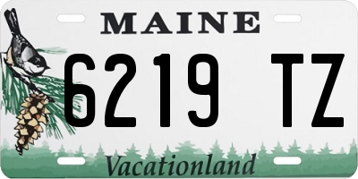 ME license plate 6219TZ