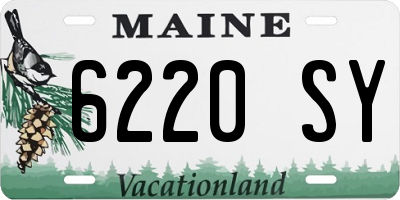 ME license plate 6220SY