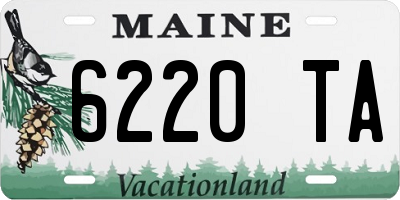 ME license plate 6220TA