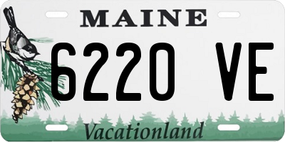 ME license plate 6220VE