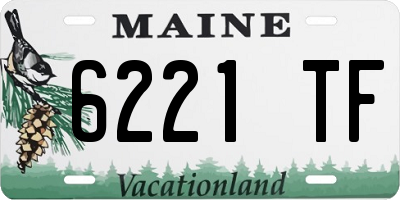 ME license plate 6221TF