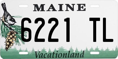 ME license plate 6221TL