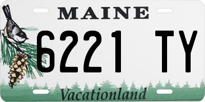 ME license plate 6221TY