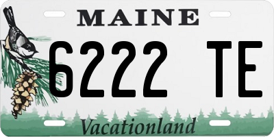 ME license plate 6222TE
