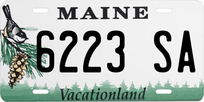 ME license plate 6223SA