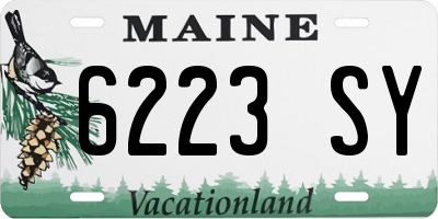 ME license plate 6223SY