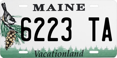 ME license plate 6223TA