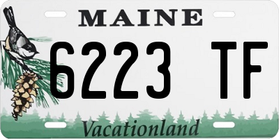 ME license plate 6223TF