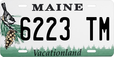 ME license plate 6223TM