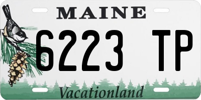 ME license plate 6223TP