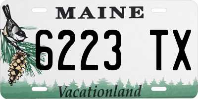 ME license plate 6223TX