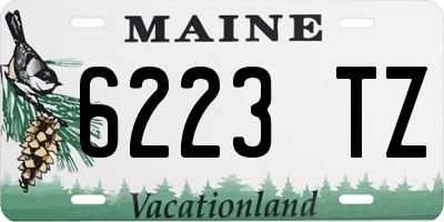 ME license plate 6223TZ