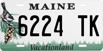 ME license plate 6224TK