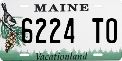 ME license plate 6224TO
