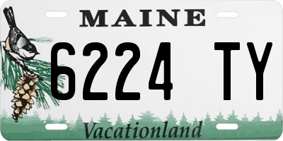 ME license plate 6224TY