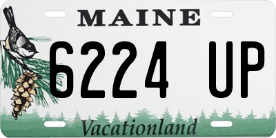 ME license plate 6224UP