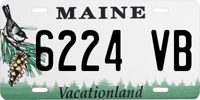 ME license plate 6224VB
