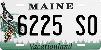 ME license plate 6225SO