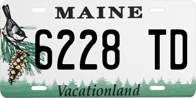 ME license plate 6228TD