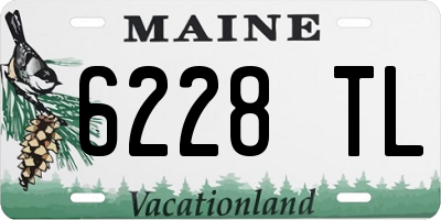 ME license plate 6228TL