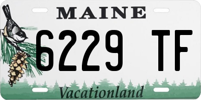 ME license plate 6229TF