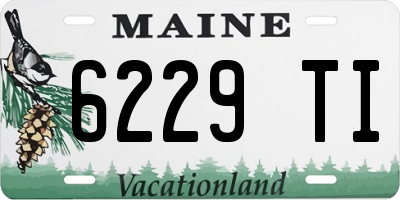 ME license plate 6229TI