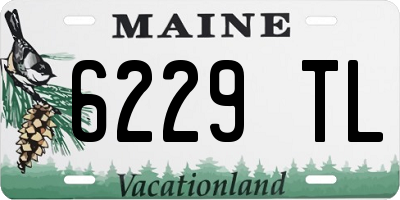 ME license plate 6229TL