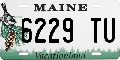 ME license plate 6229TU