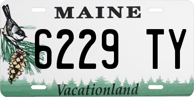 ME license plate 6229TY
