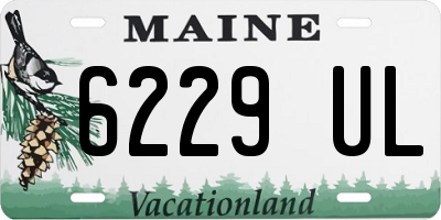ME license plate 6229UL