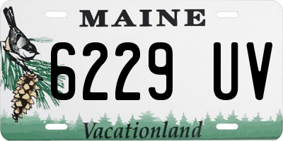 ME license plate 6229UV