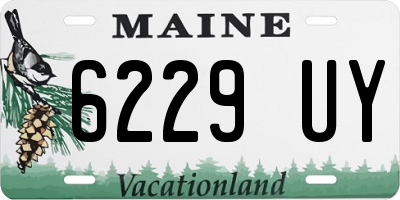 ME license plate 6229UY