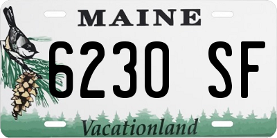 ME license plate 6230SF